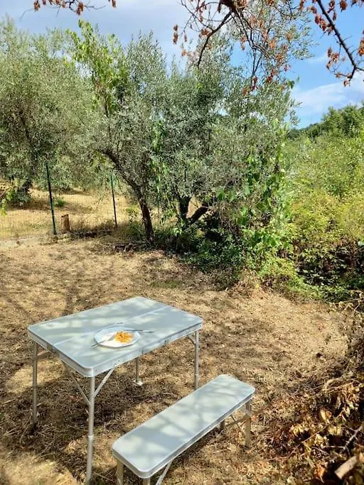 Casa Il Cecio Διαμέρισμα Roccalbegna